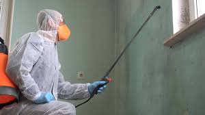 Reliable Broadway, NC Mold Removal Services Solutions